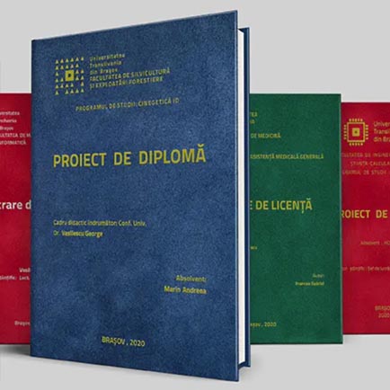 comandalicenta-diploma1 comandalicenta-diploma1