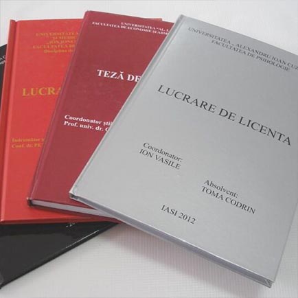 comandalicenta-licenta2 comandalicenta-licenta2